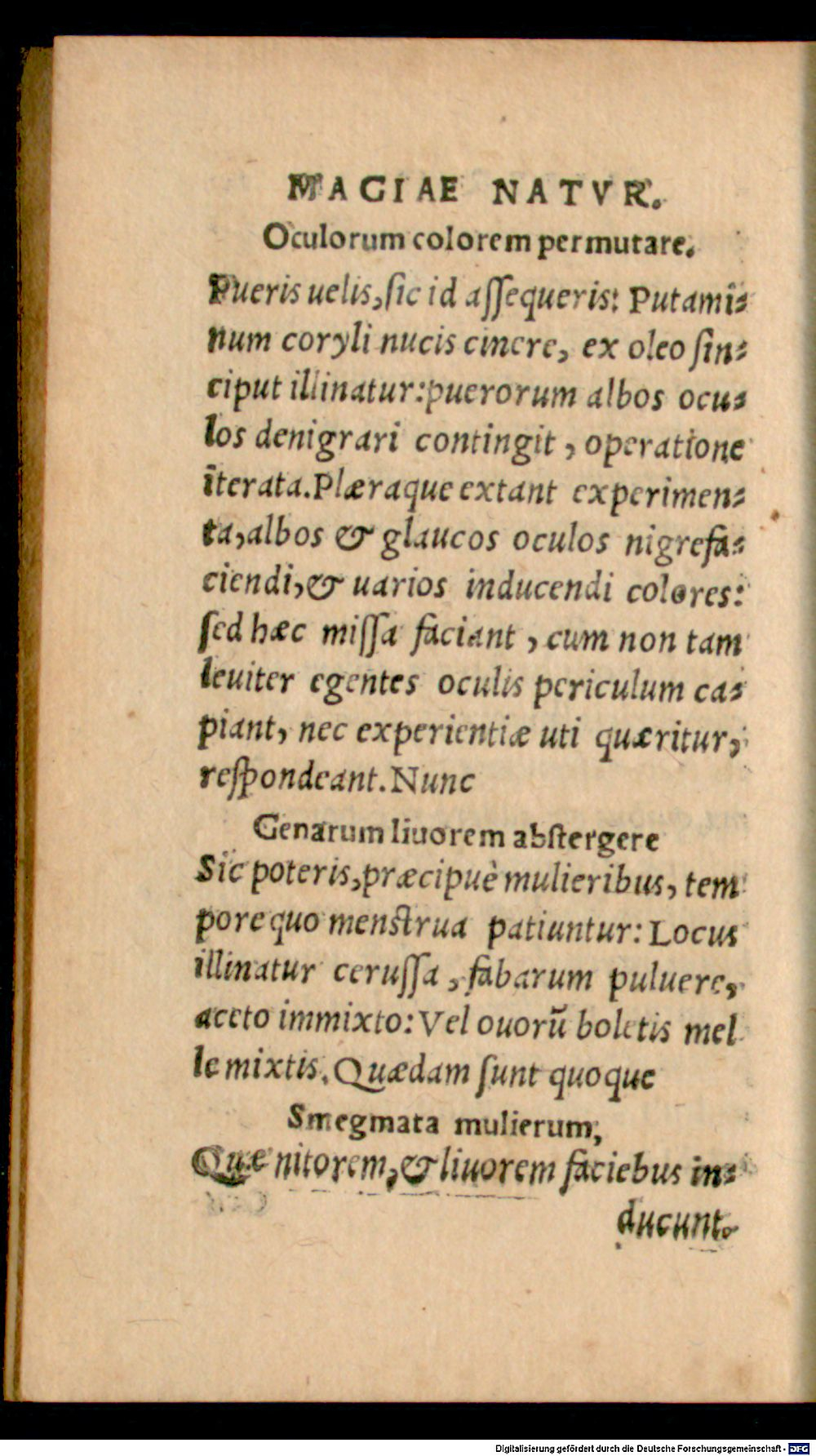 Image