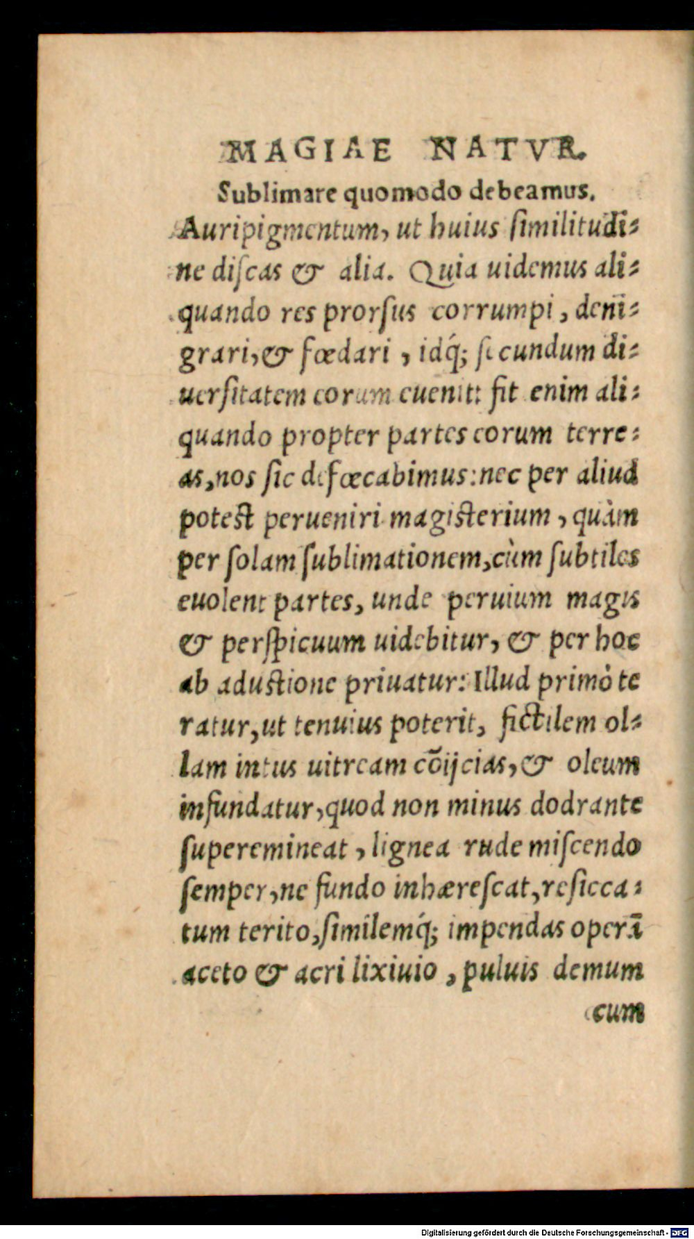 Image