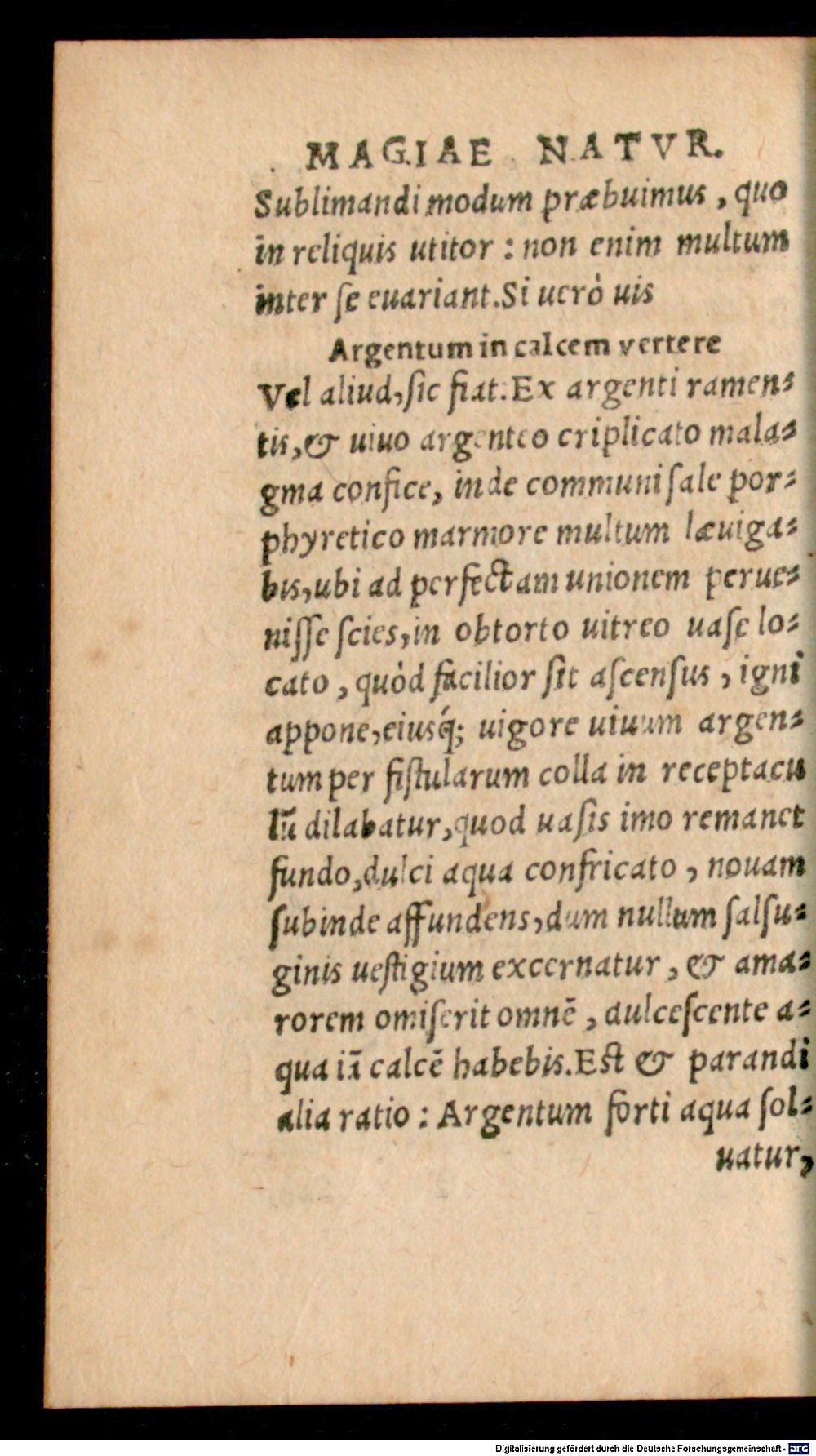 Image