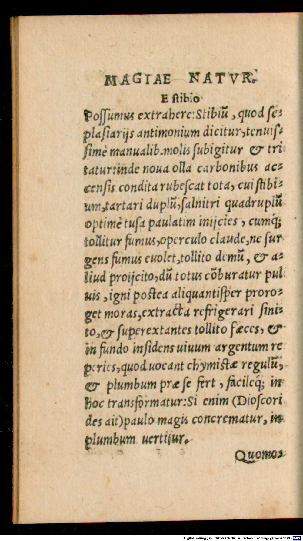 Image