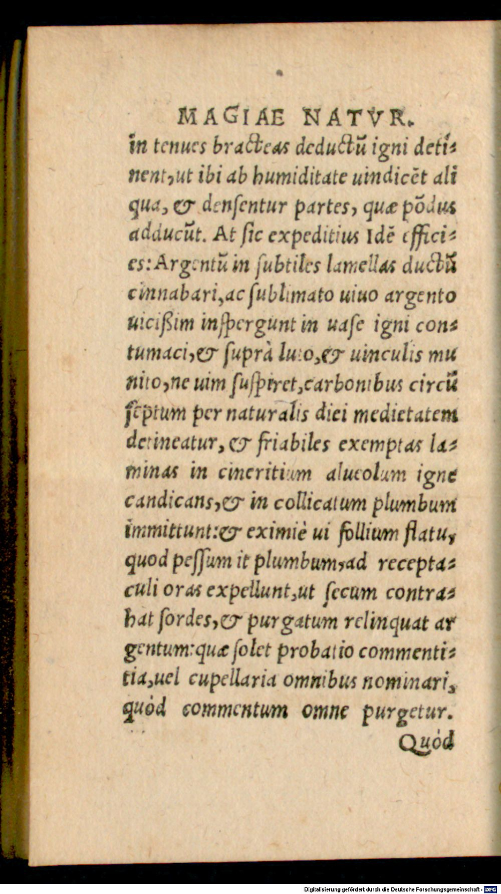 Image