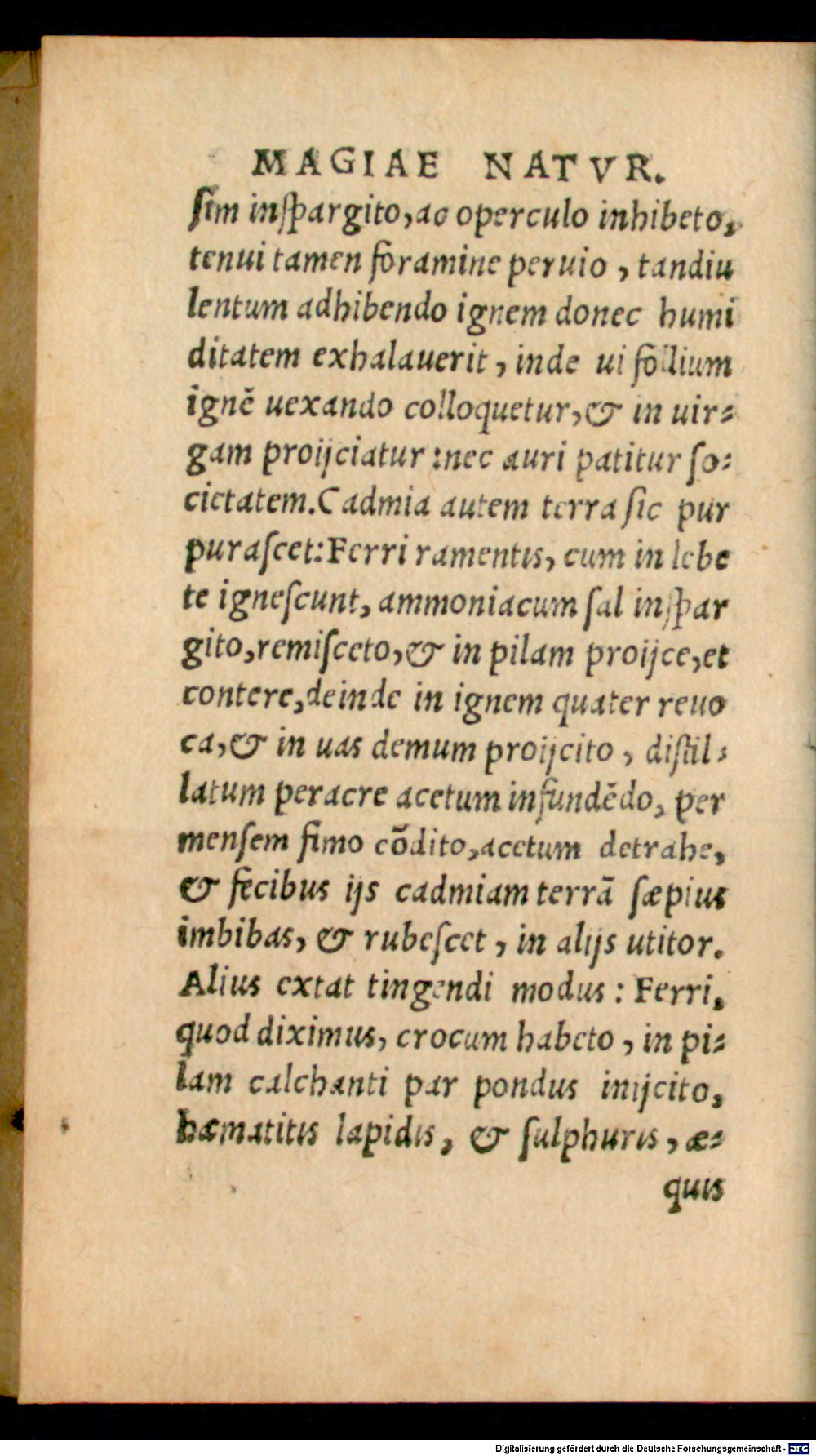 Image