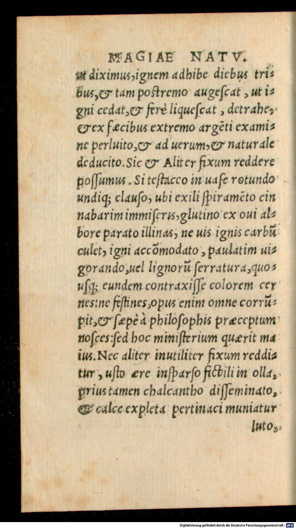 Image
