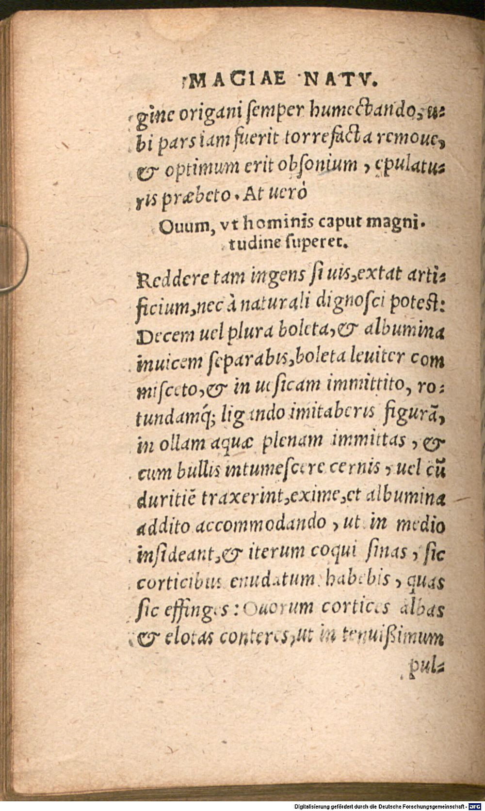 Image