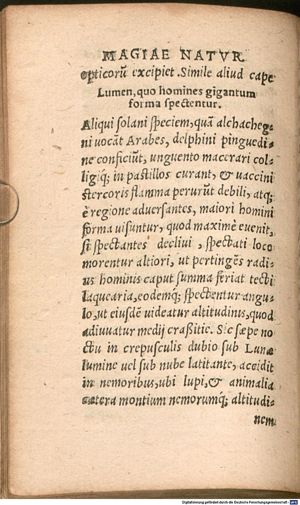 Image