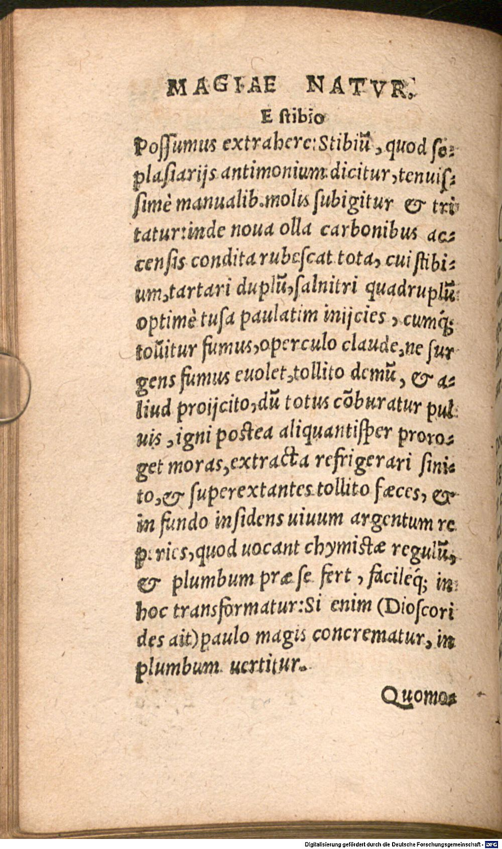 Image