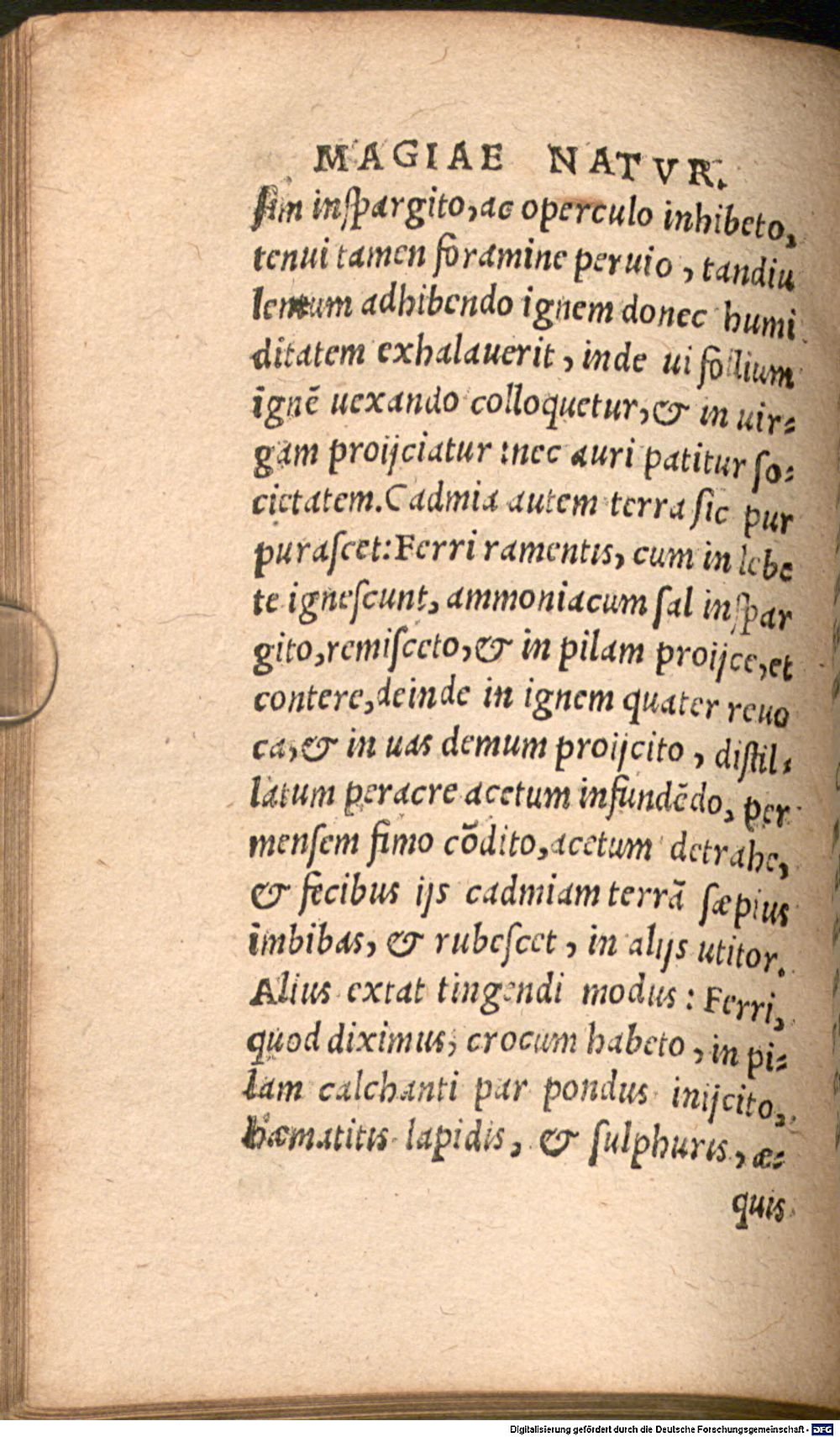 Image
