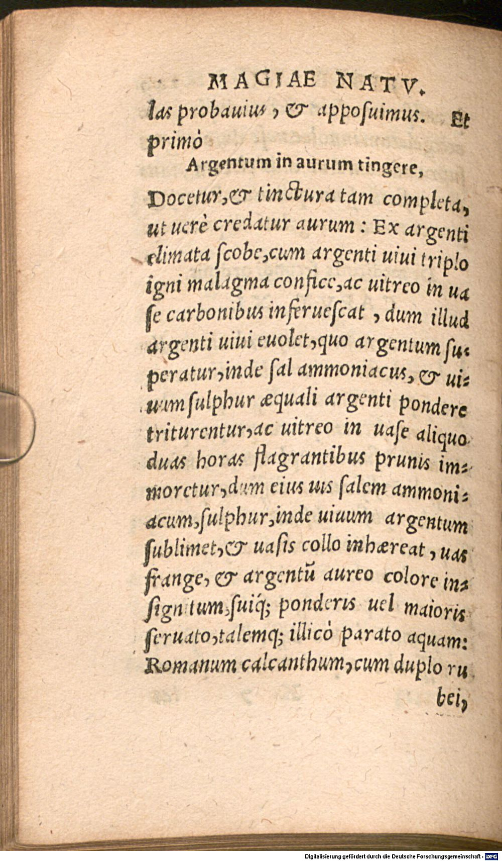 Image