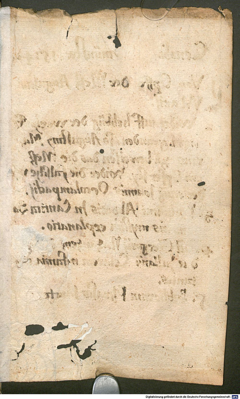 Image