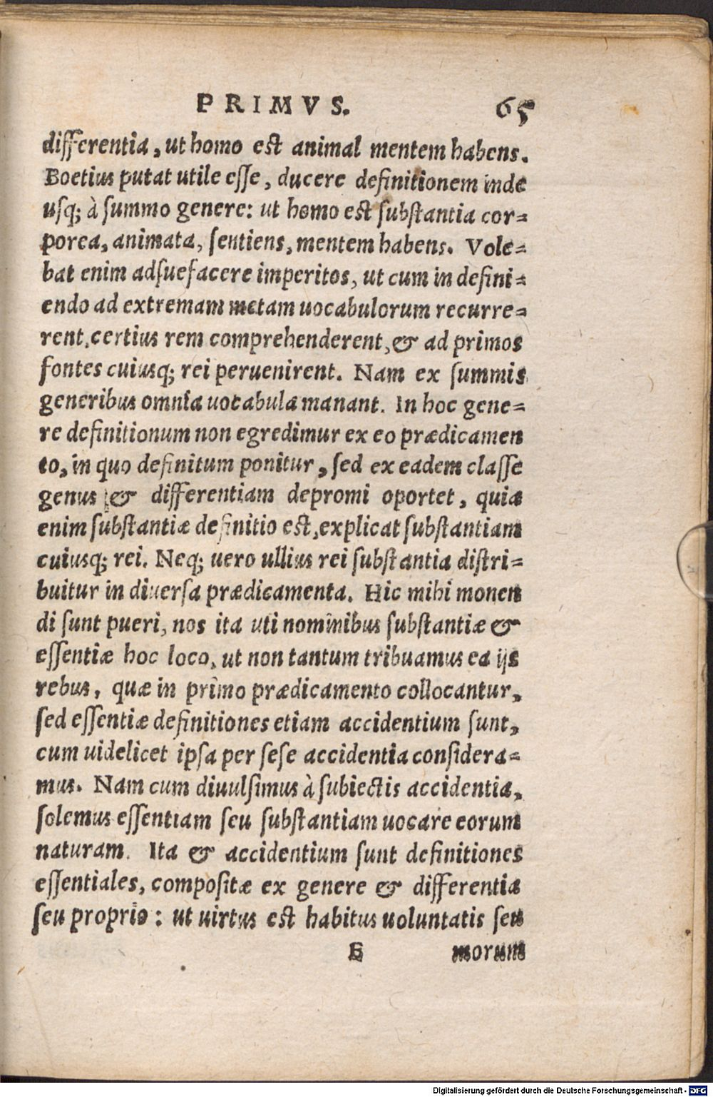Image