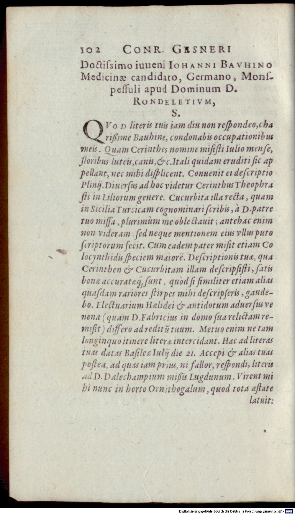 Image