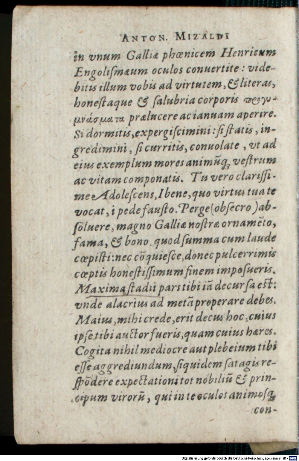 Image