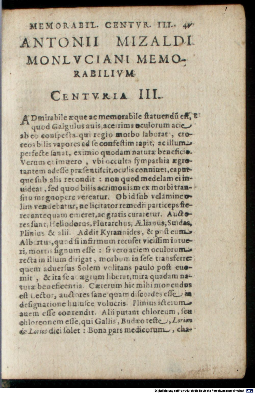 Image