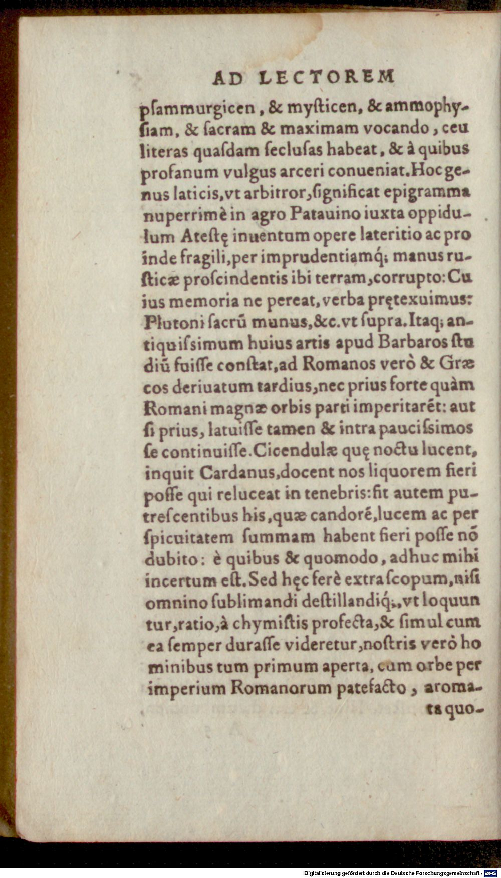 Image