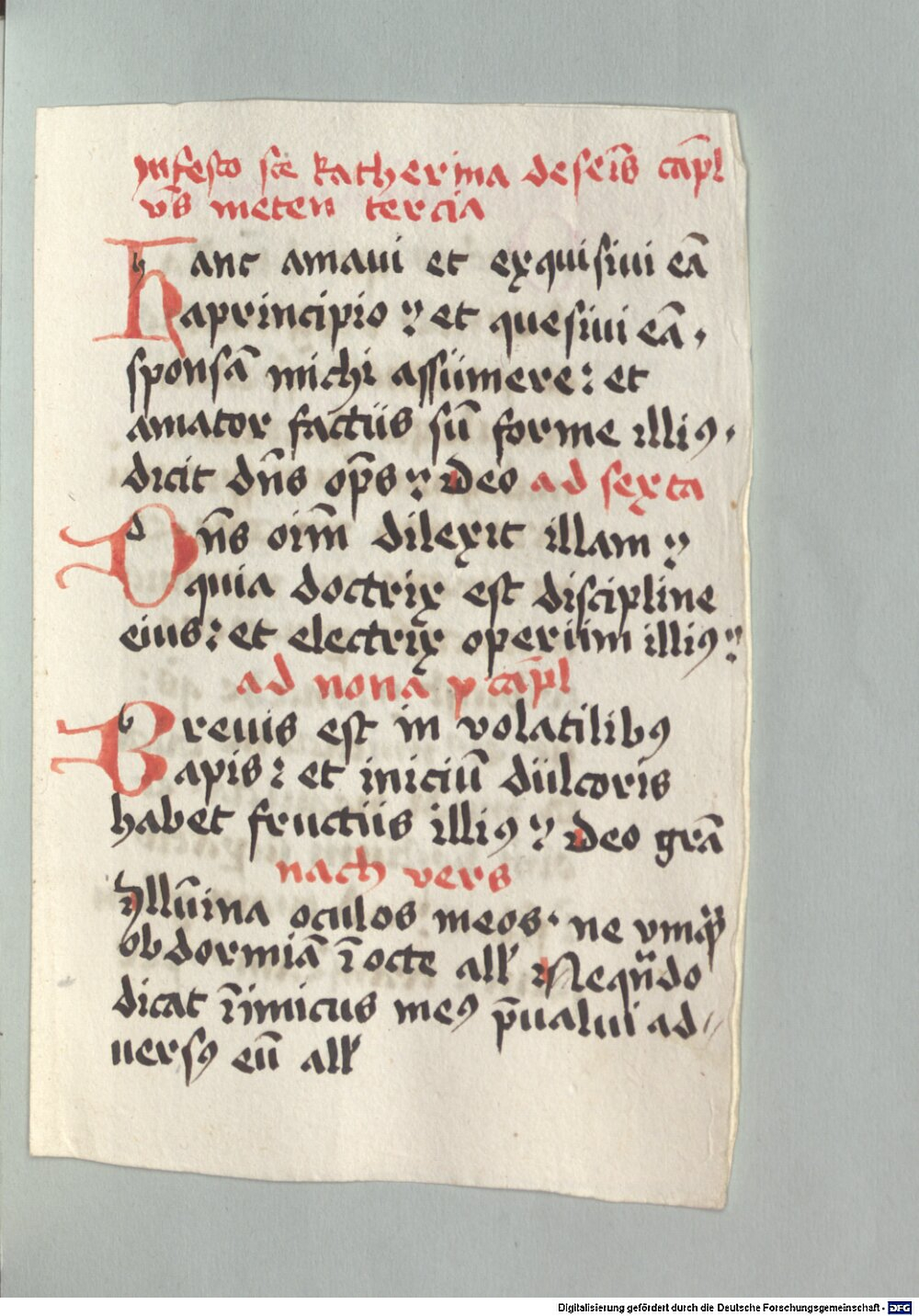 Image