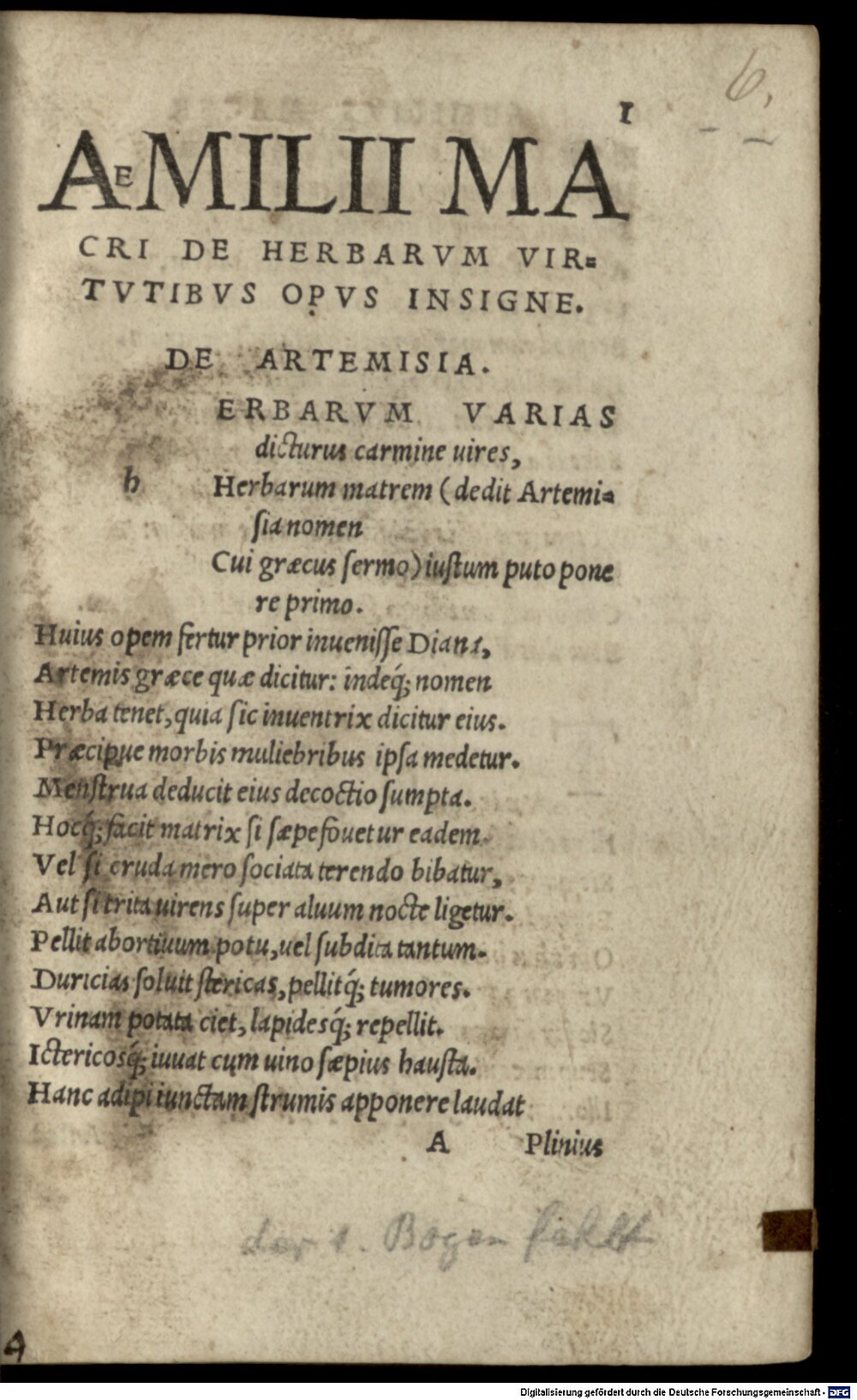 Image