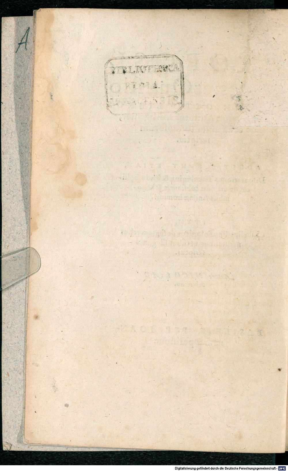 Image