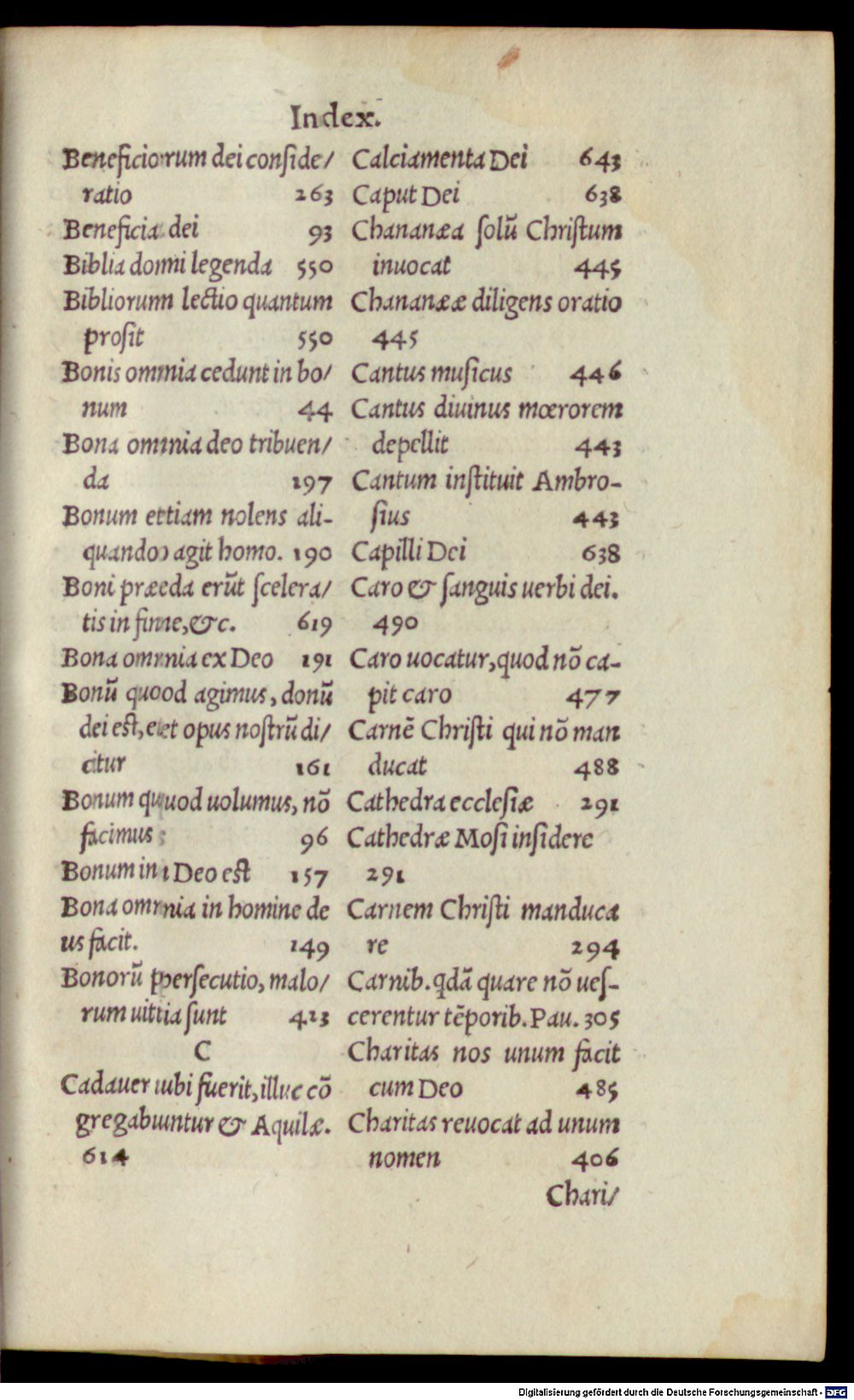 Image