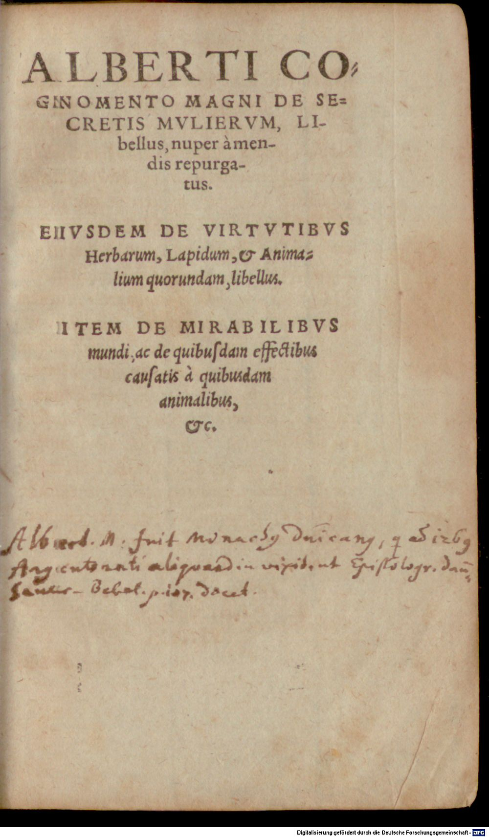 Image