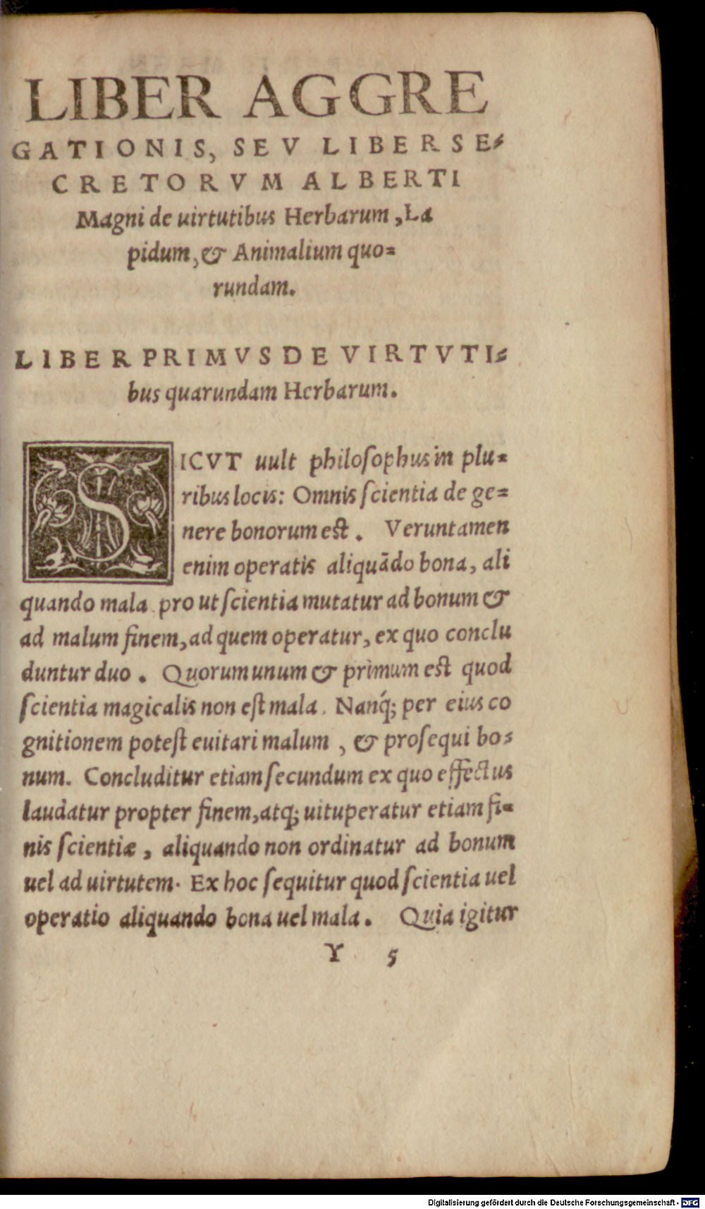 Image