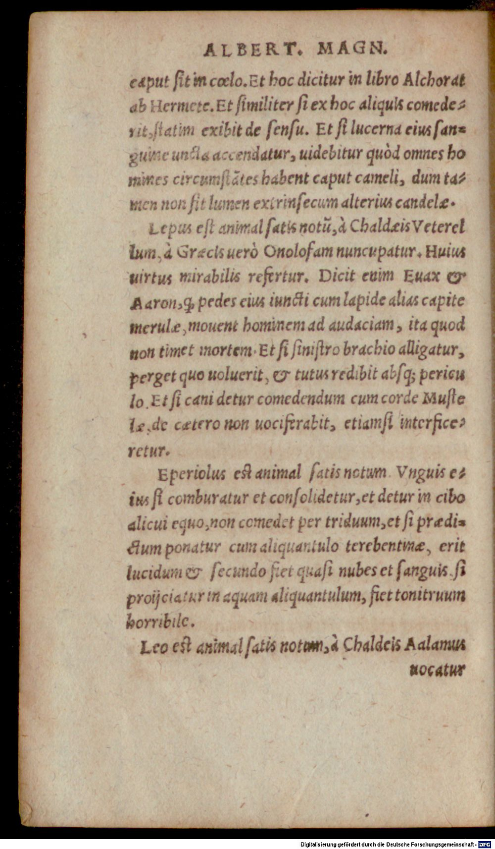 Image
