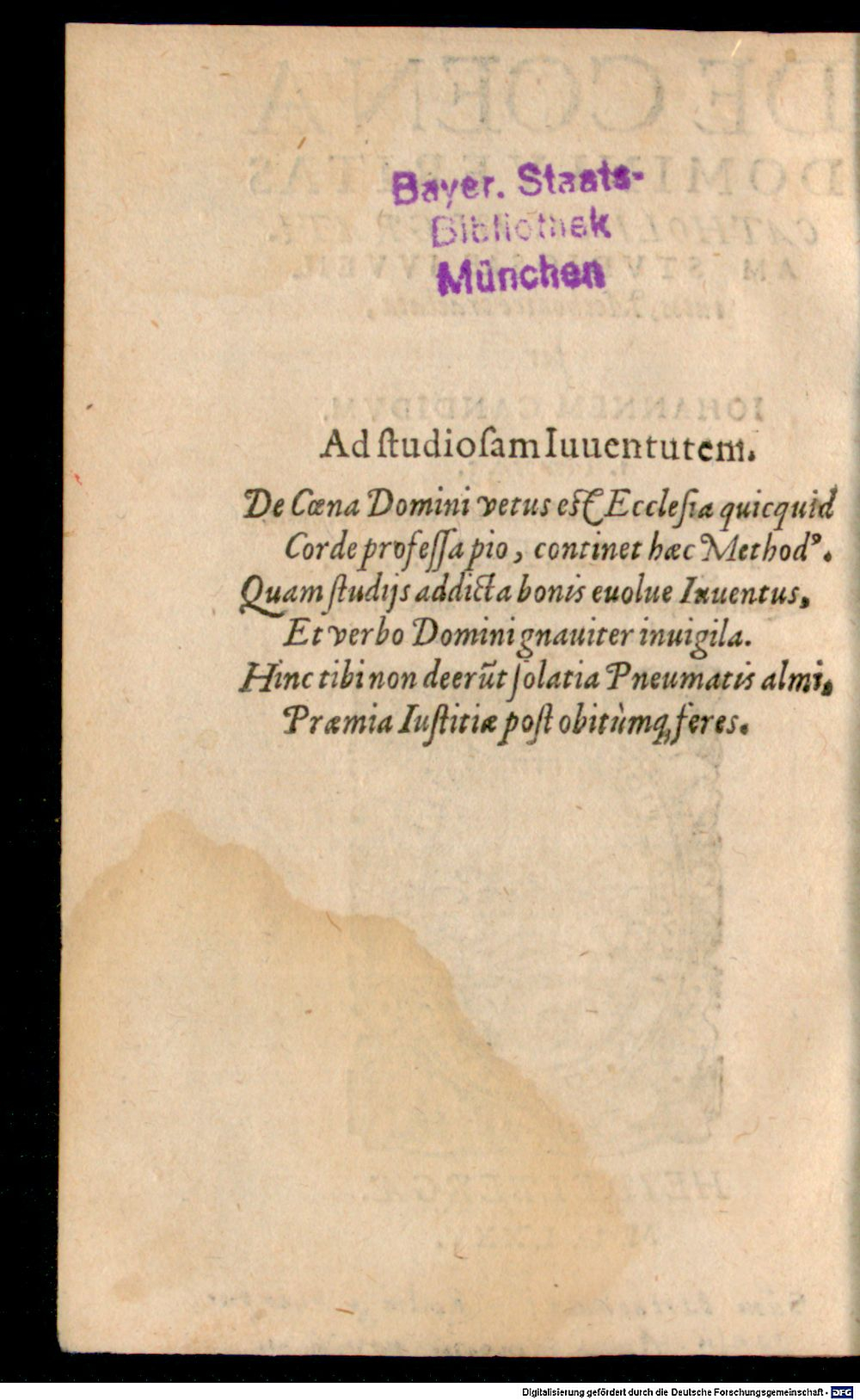 Image