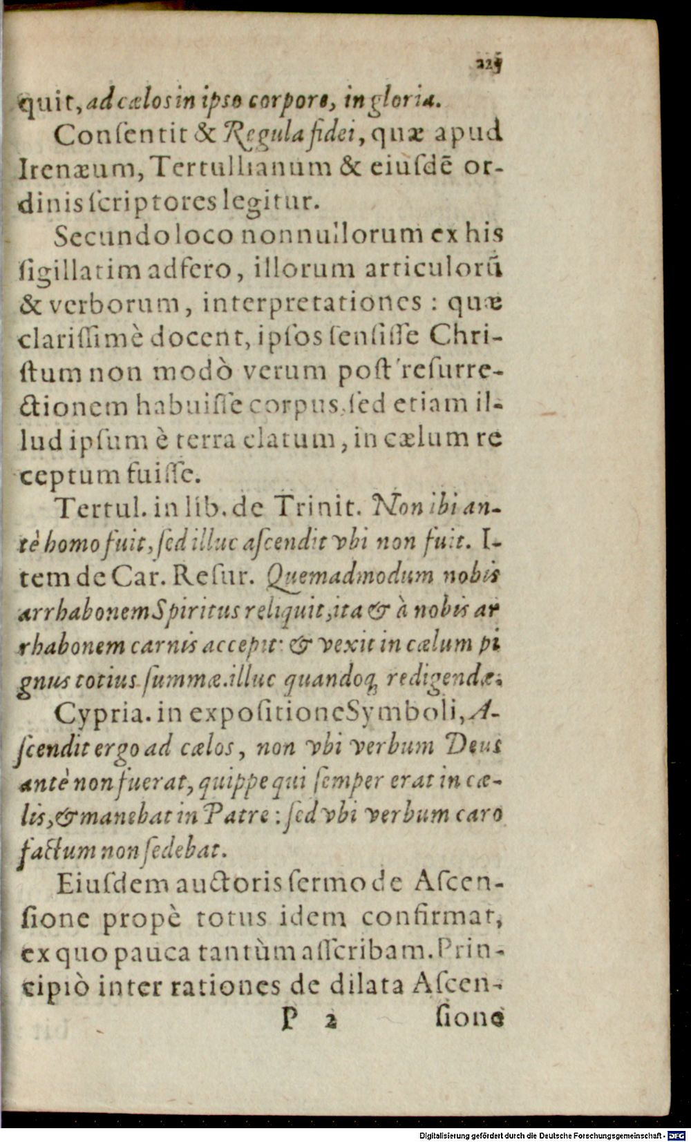 Image