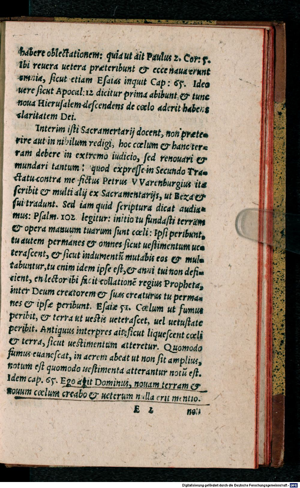 Image