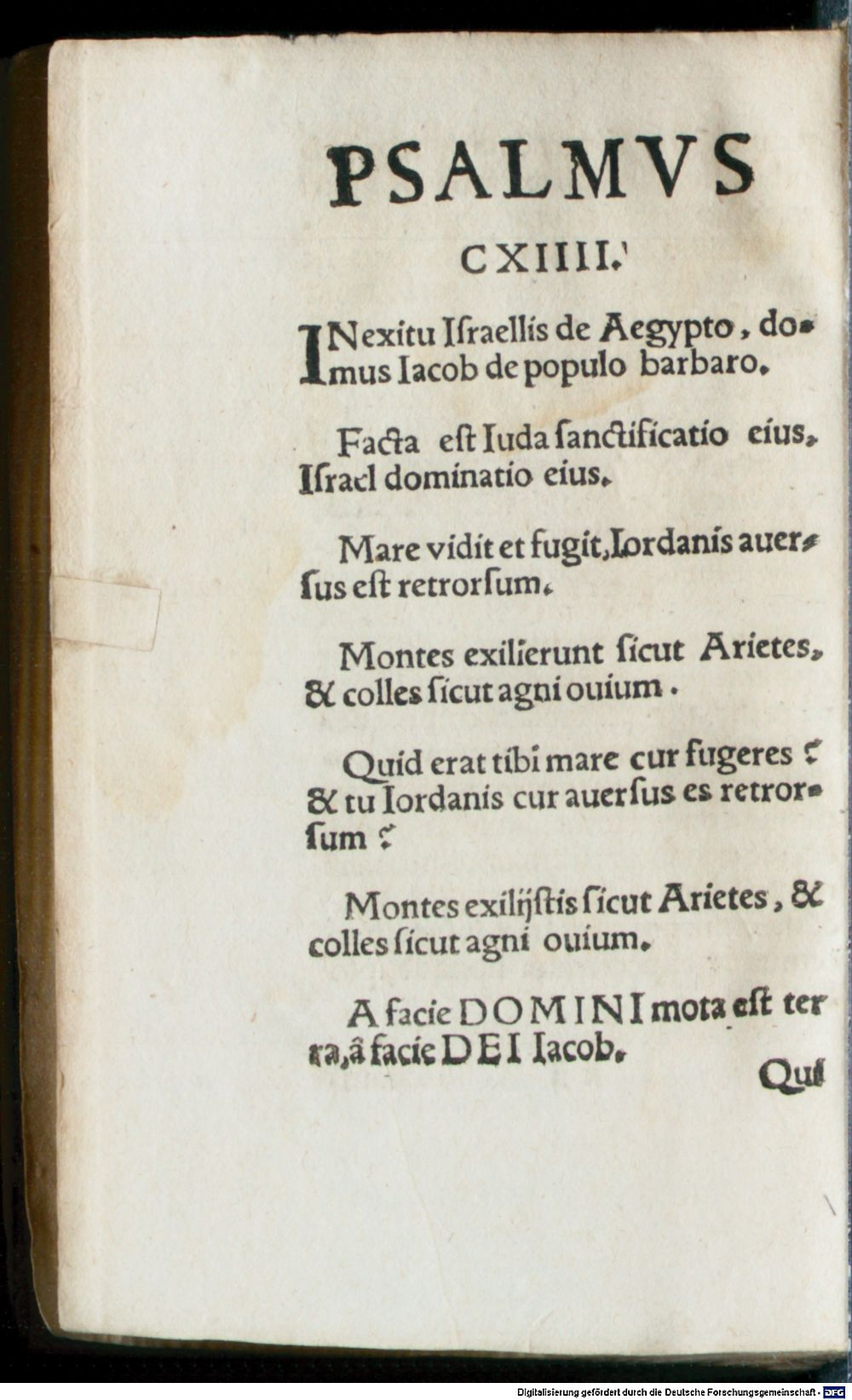 Image