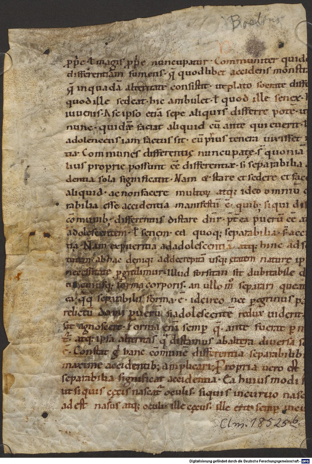 Image
