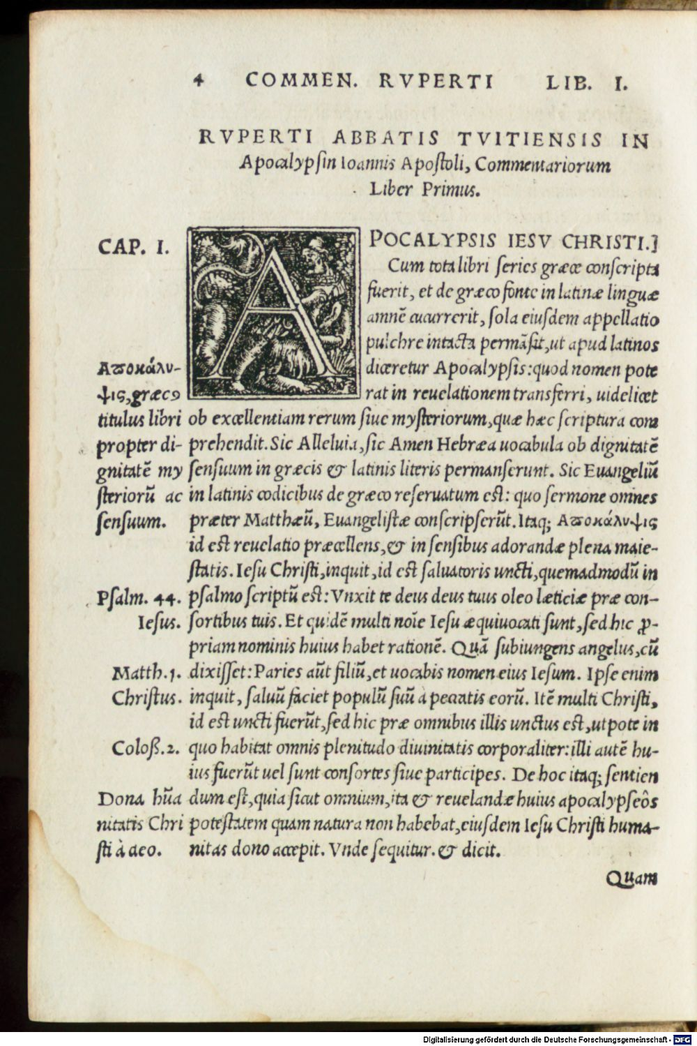 Image