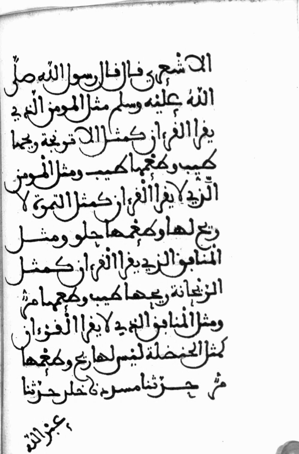 Image