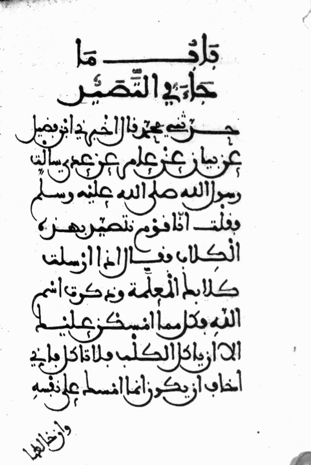 Image