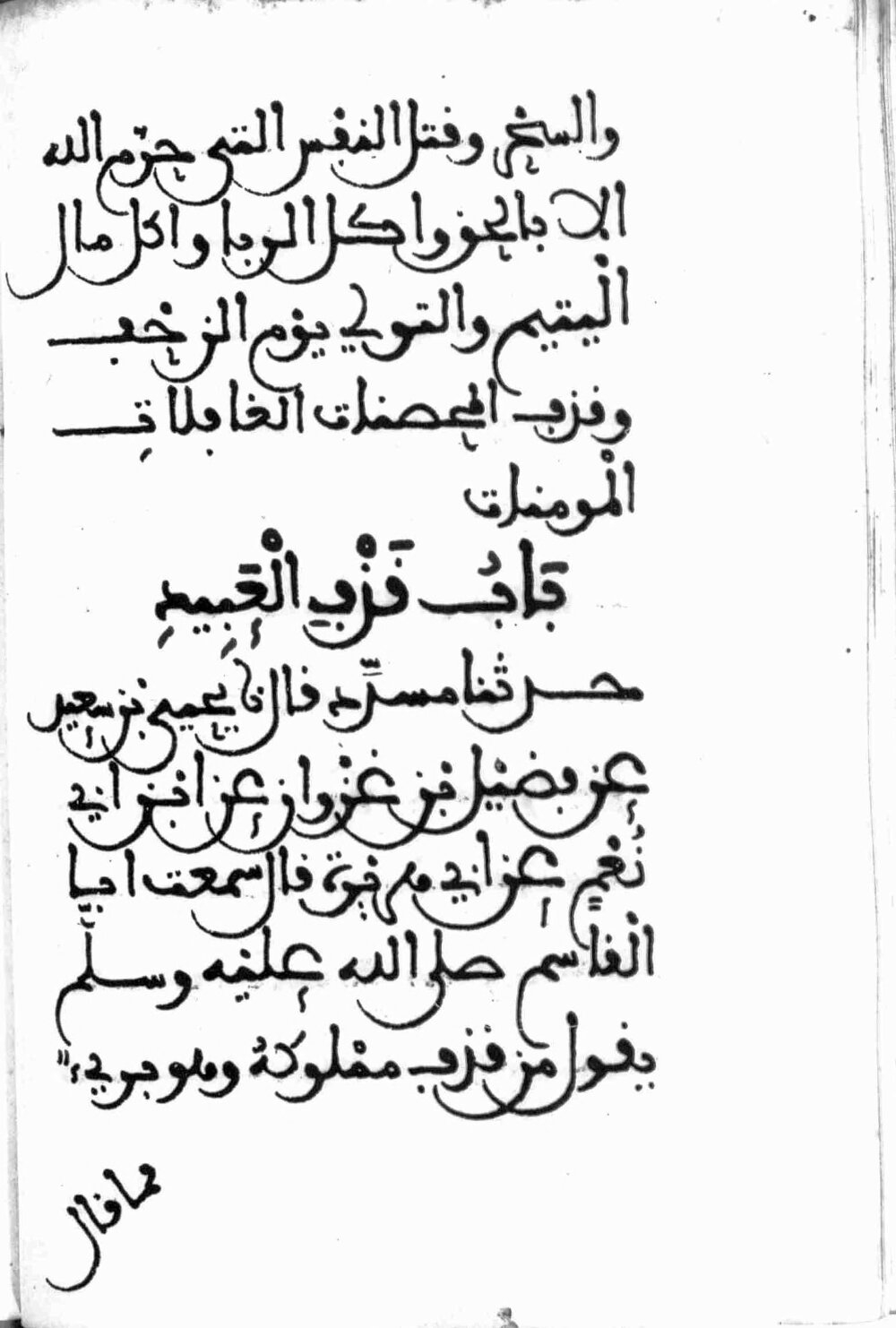 Image