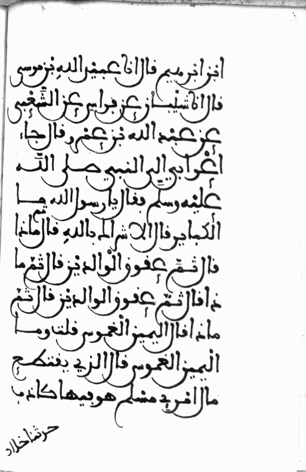 Image