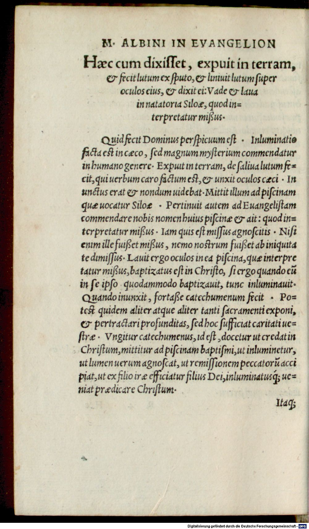 Image