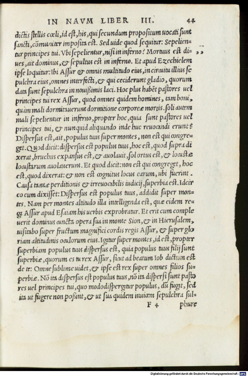 Image