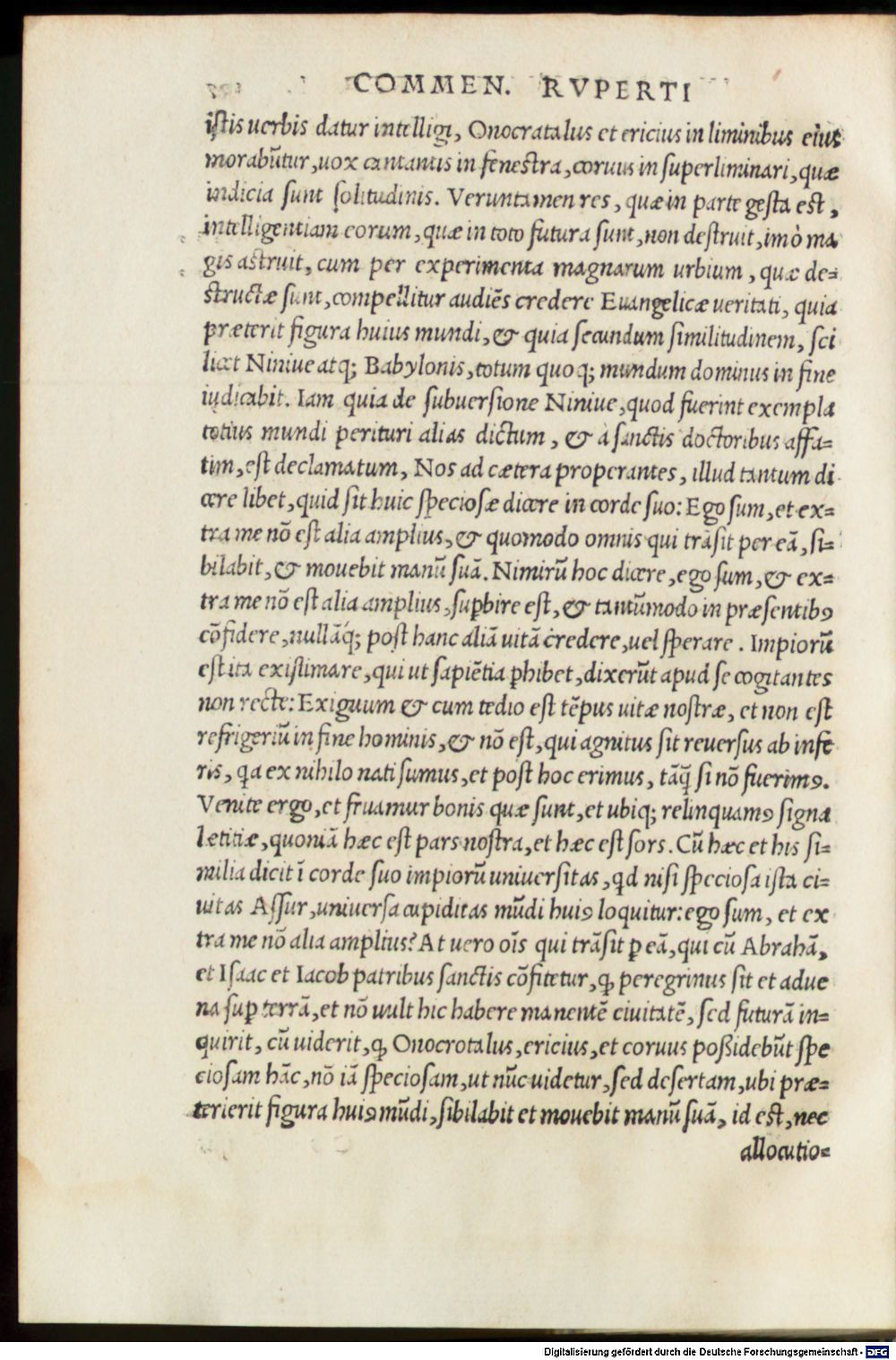 Image