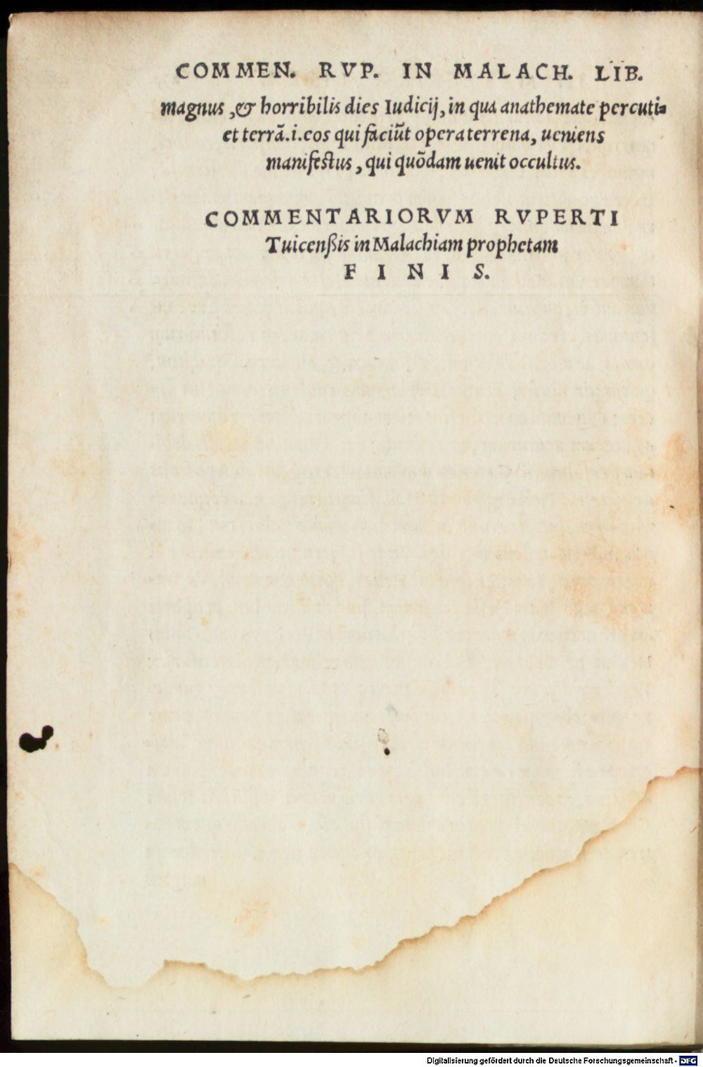 Image