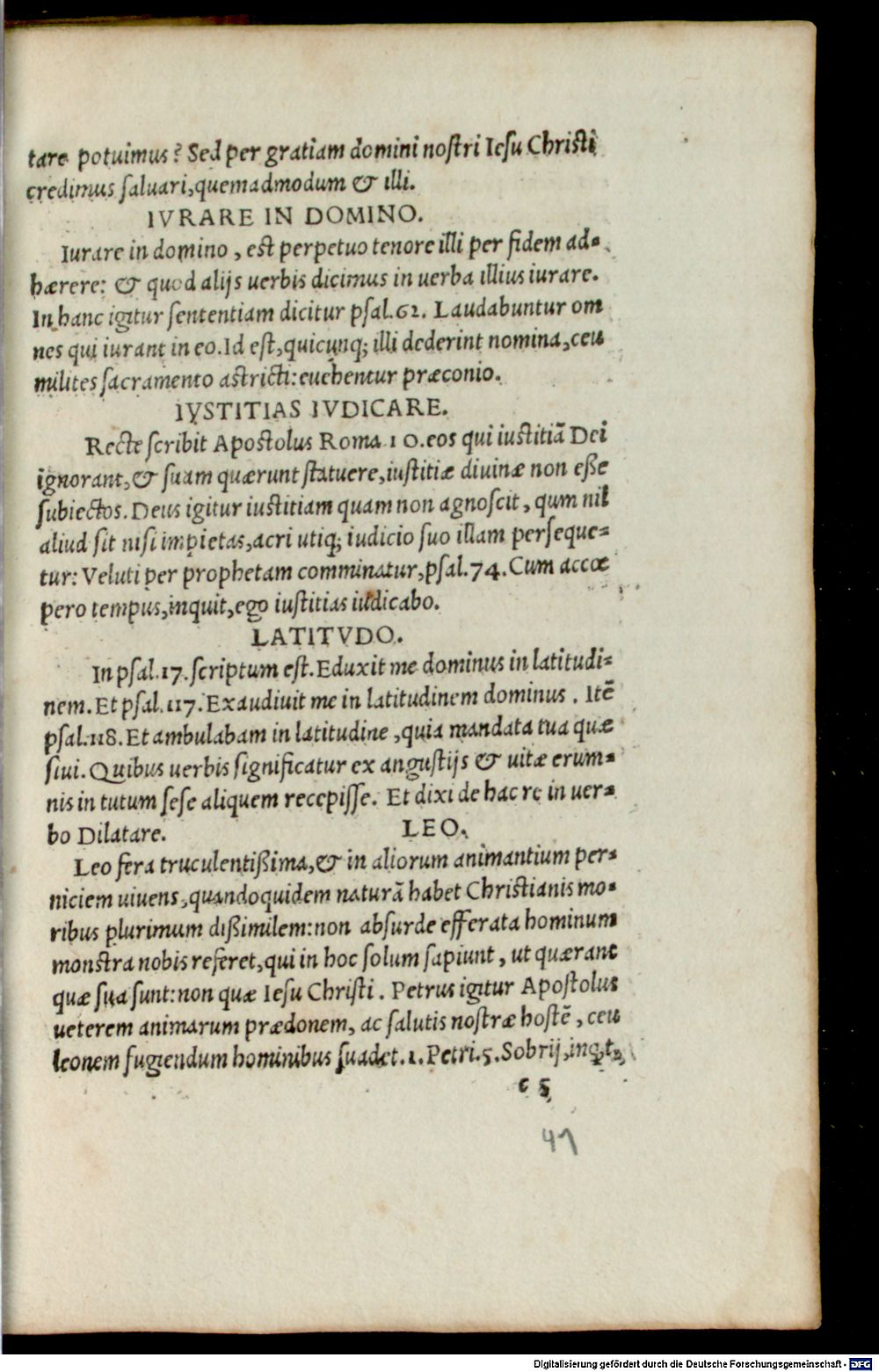 Image
