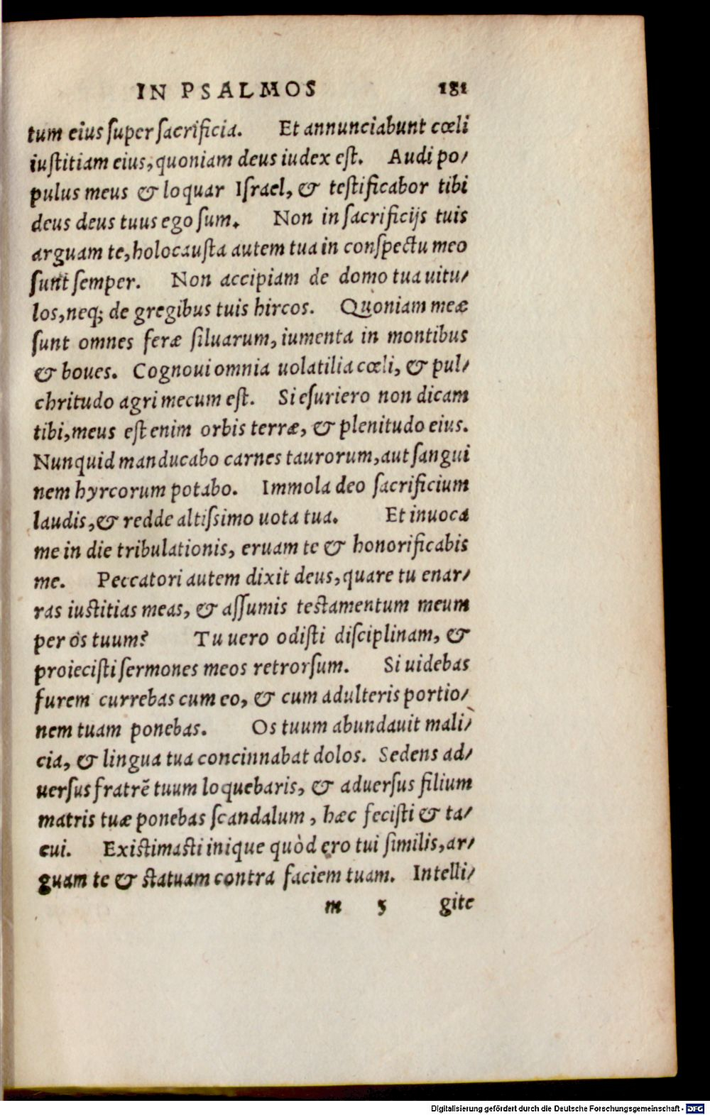 Image