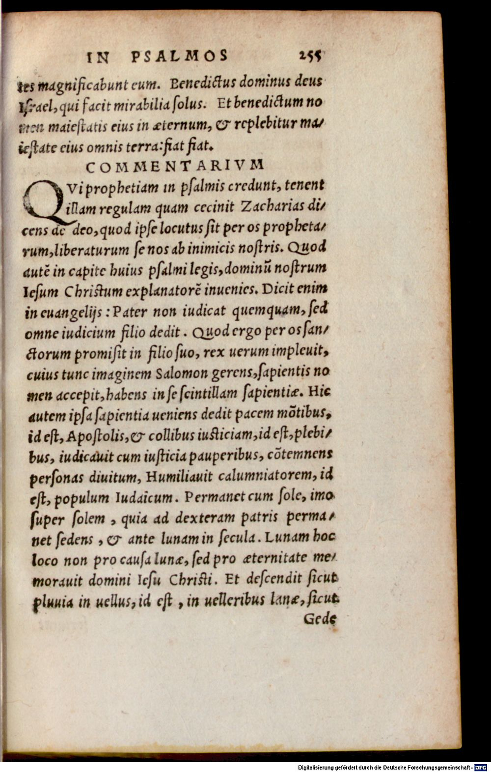 Image