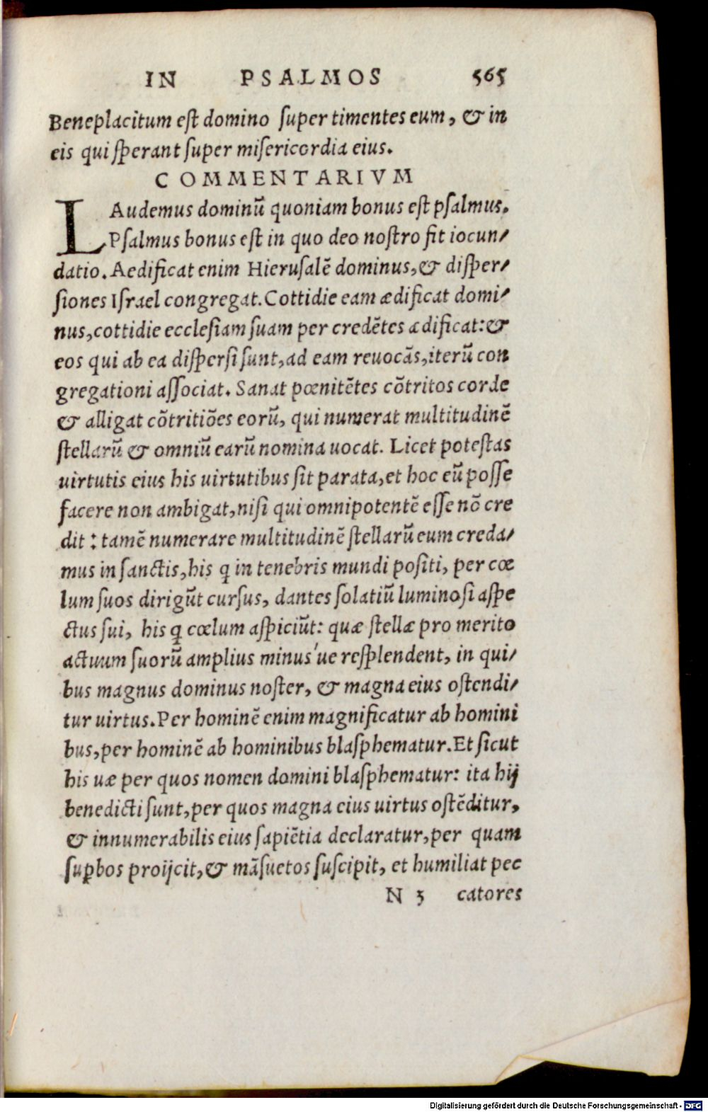 Image