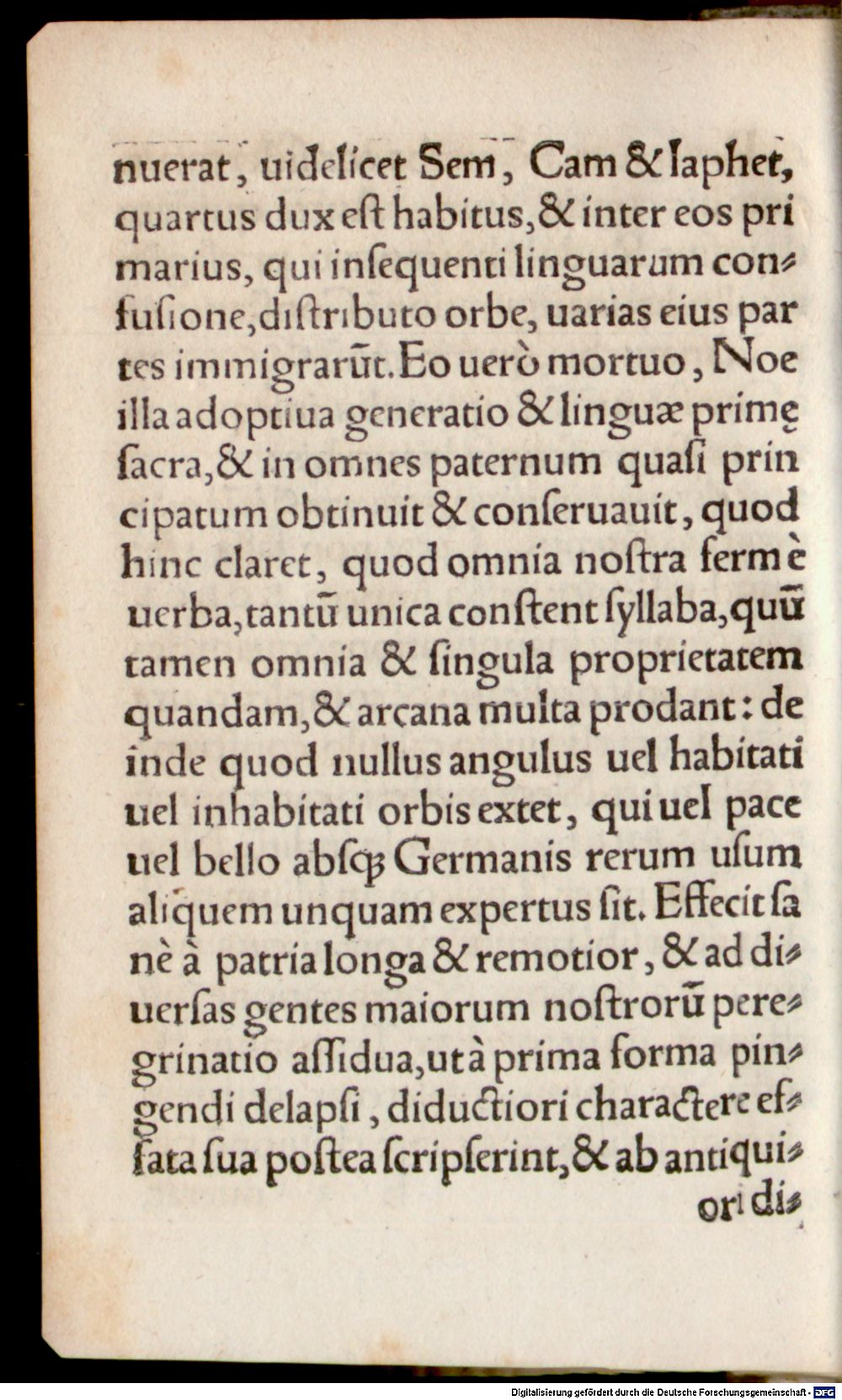 Image