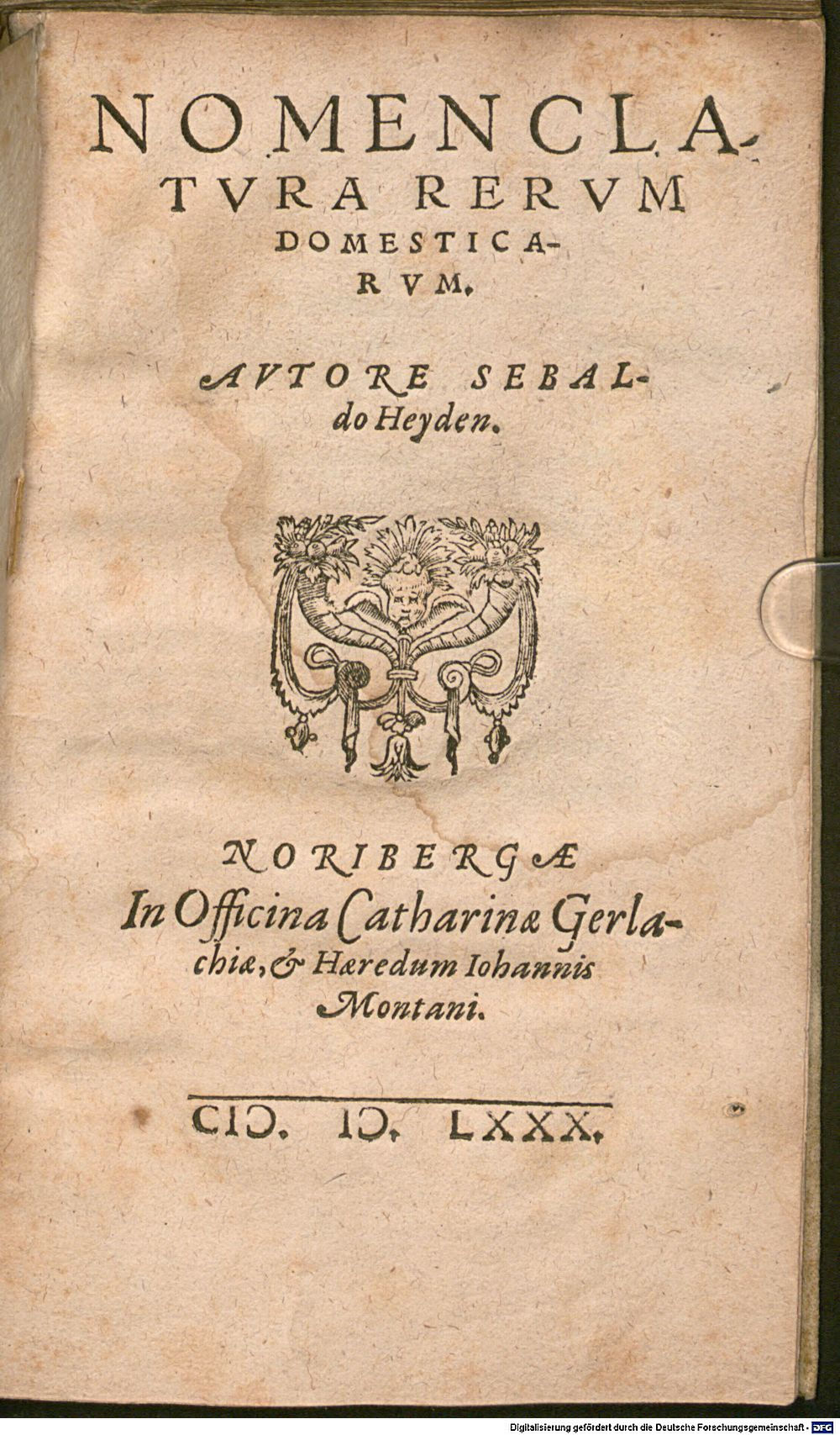Image
