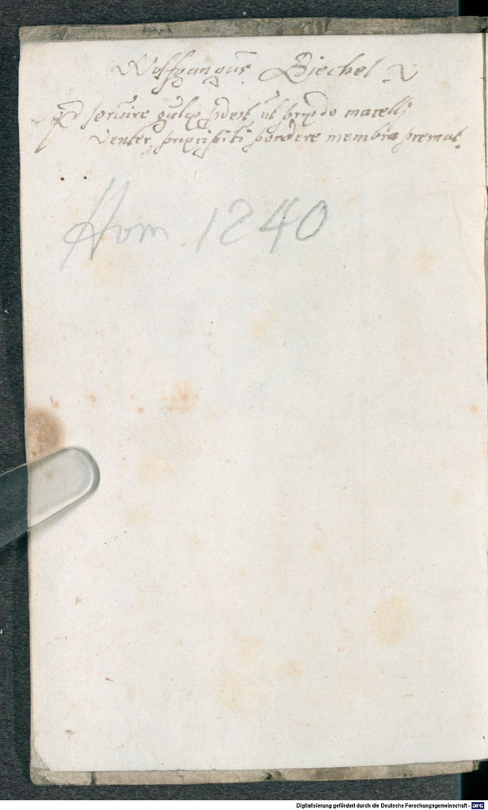 Image