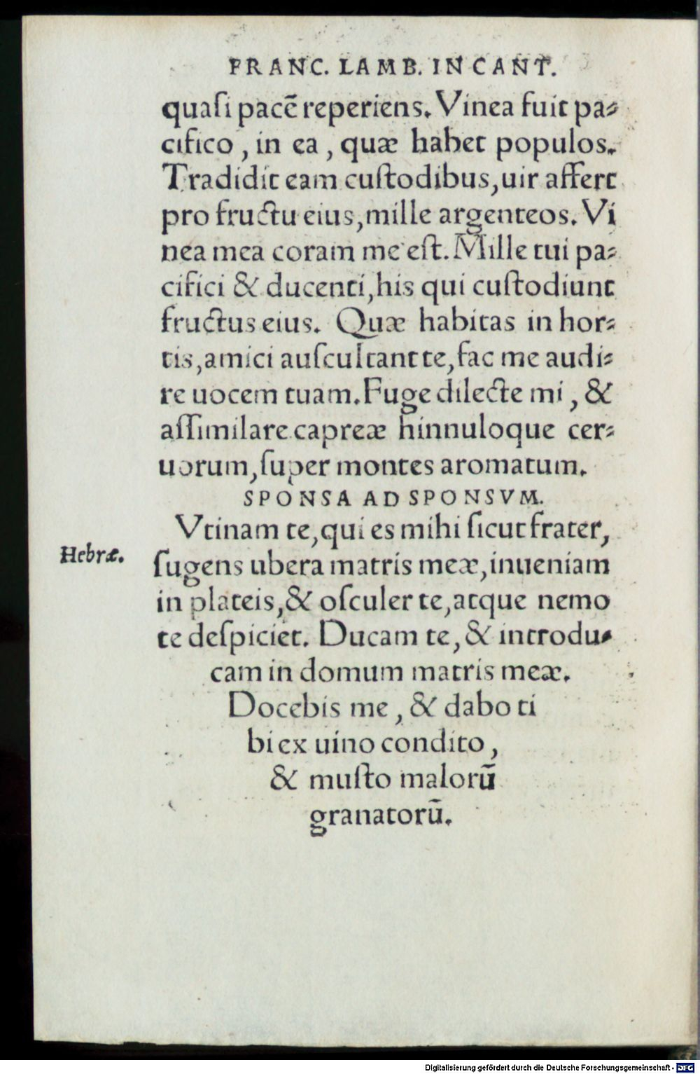 Image