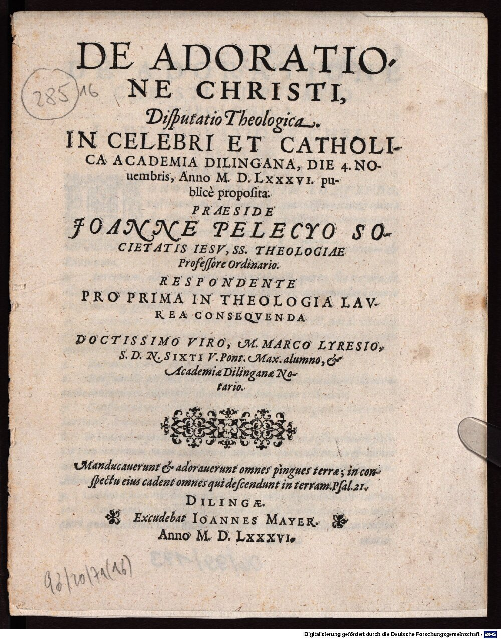 Image