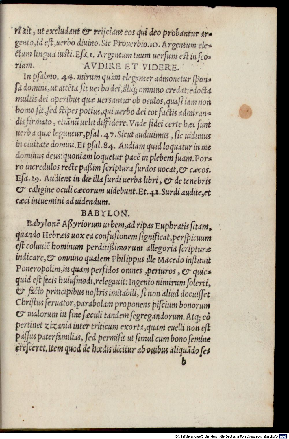 Image