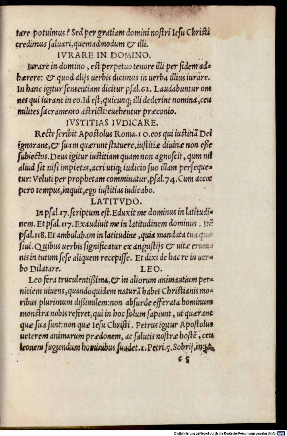 Image